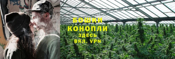шишки Бугульма