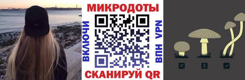 магазин продажи наркотиков  Ершов  Псилоцибиновые грибы мухоморы 