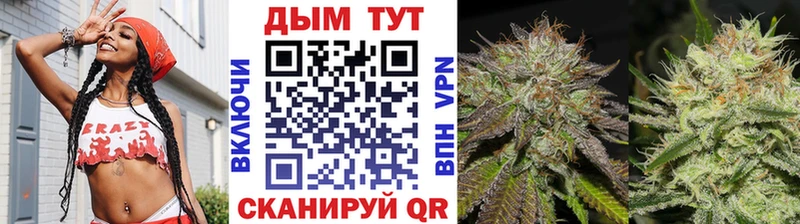 купить наркотики сайты дарк нет Telegram Каннабис сатива Ершов